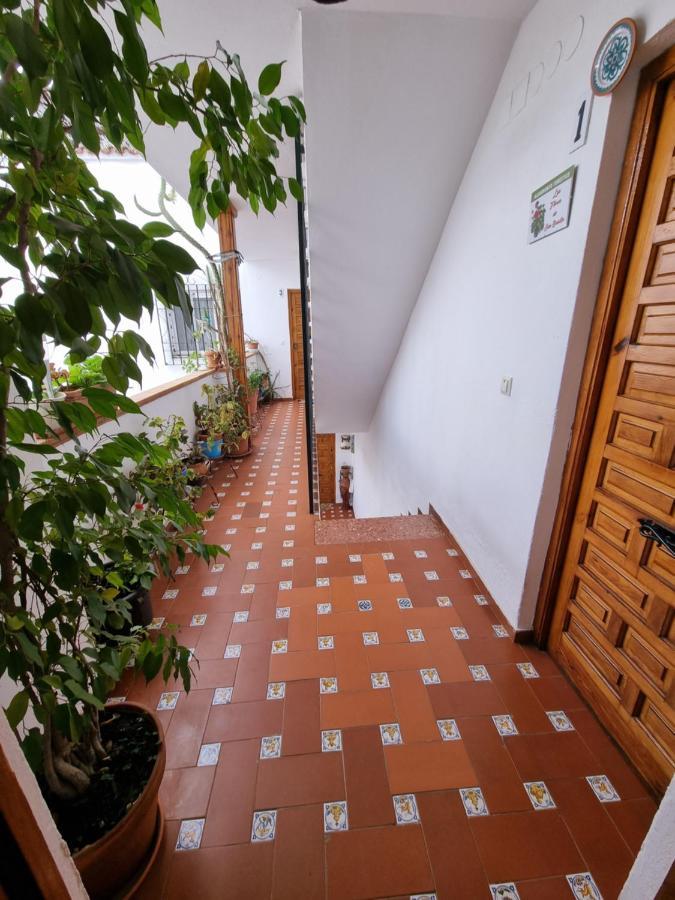 Apartamento Entre Patios San Basilio Appartement Córdoba Buitenkant foto