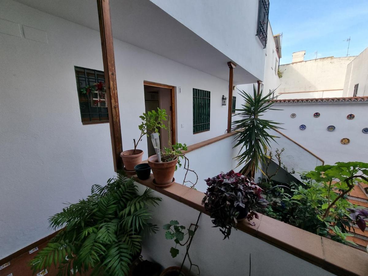 Apartamento Entre Patios San Basilio Appartement Córdoba Buitenkant foto